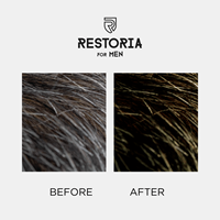 restoria hair and beard dye - dark blonde